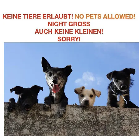 Homestay Brienz * Brienz (Bern)