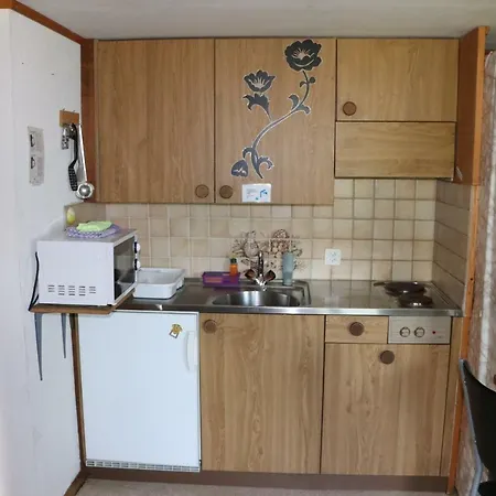Homestay Brienz 別荘