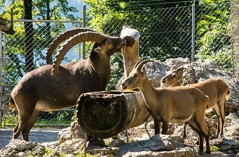 Homestay Brienz * Brienz (Bern)