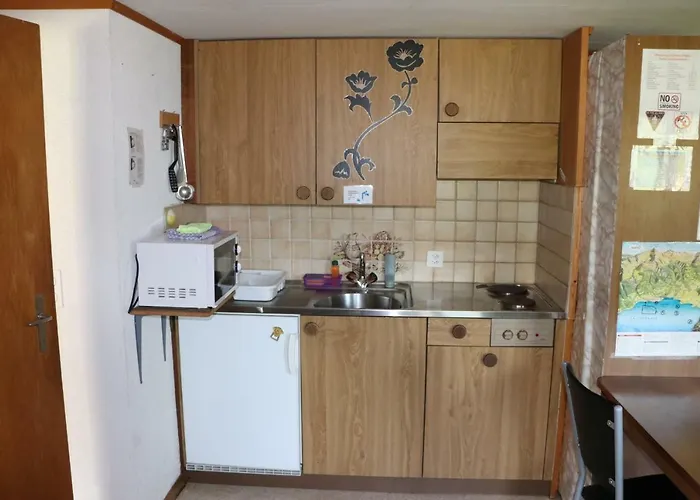 Homestay Brienz Holiday home