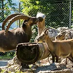 Homestay Brienz * Brienz (Bern)