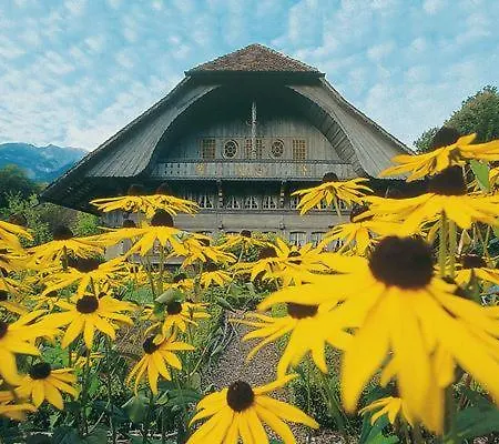 Homestay Brienz Prázdninový dům Brienz (Bern)