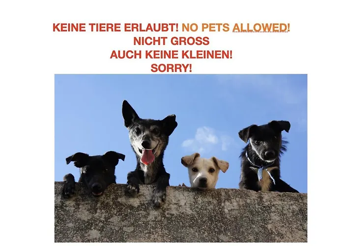 Homestay Brienz * Brienz (Bern)